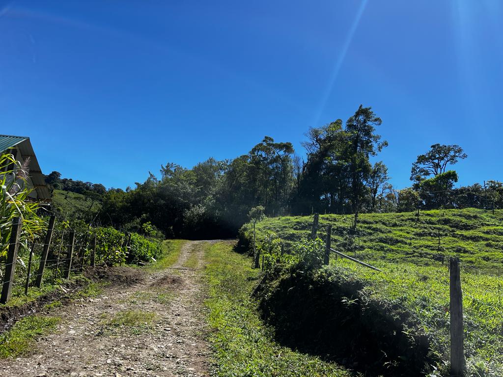 Spectacular Land in Monteverde