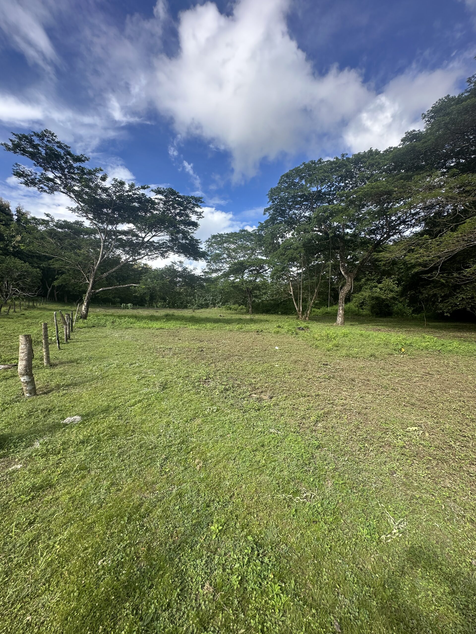 Farm Coyolito Puntarenas, Sale