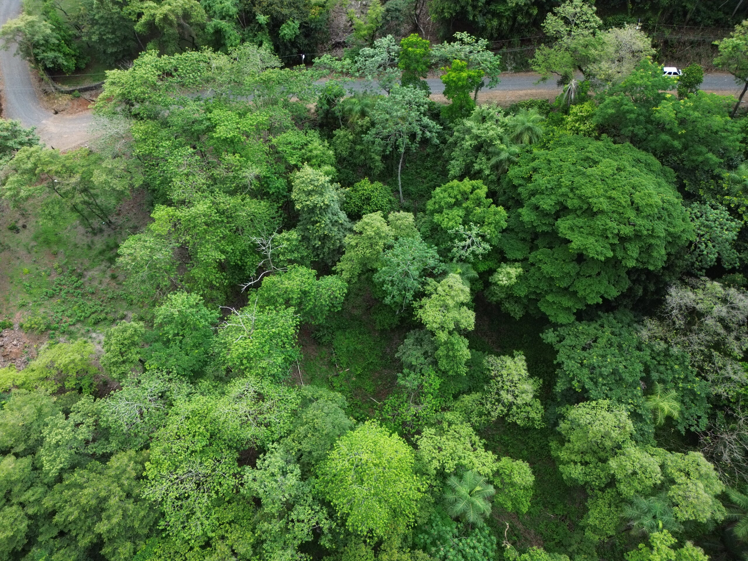 Property for Sale in Casa de Campo, Orotina – 4,136 m² in Gated Community