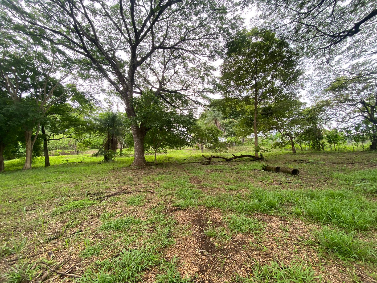 Stunning Farm in Coyolar de Orotina