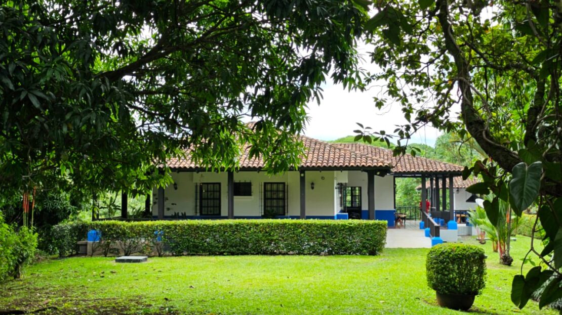 video image